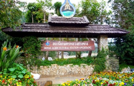 doi-angkhang-chiangmai-thailand-10